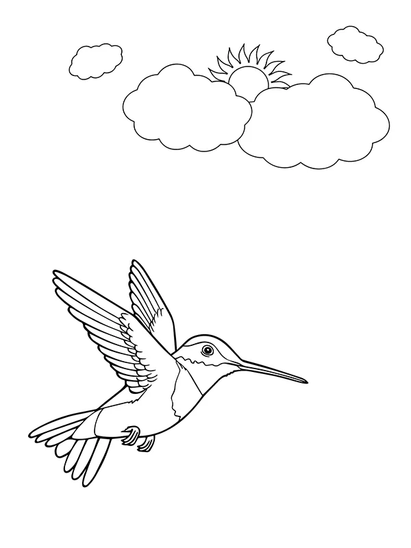 Fliegender Kolibri Vogel