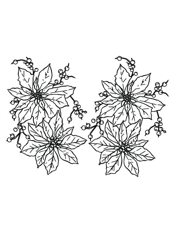 Free Printable Poinsettia Christmas Flowers