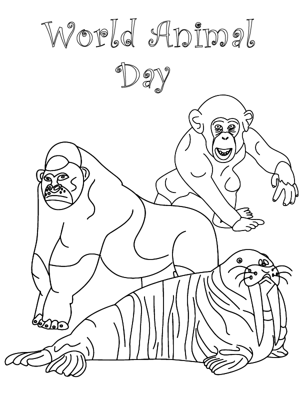 Gorilla, Monkey, and Walrus