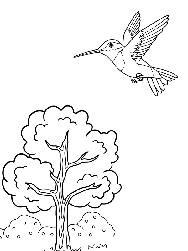 Kolibri und großer Baum