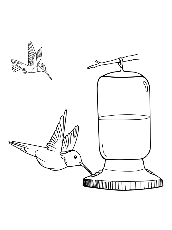 Kolibri und Futterhäuschen