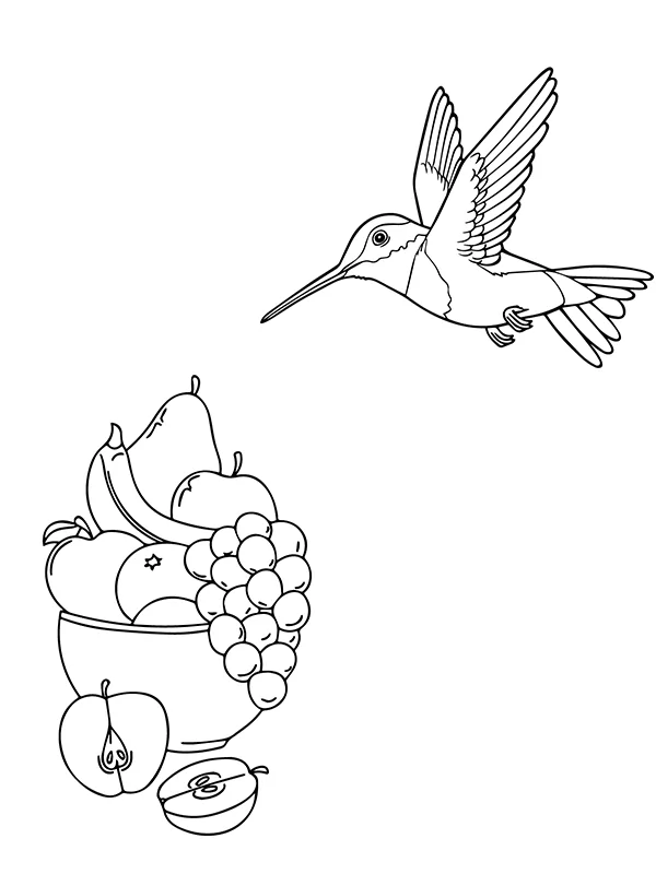 Hummingbird and Fruits