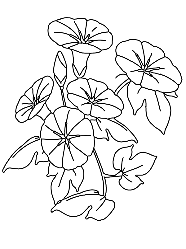 Morning Groly coloring page-14