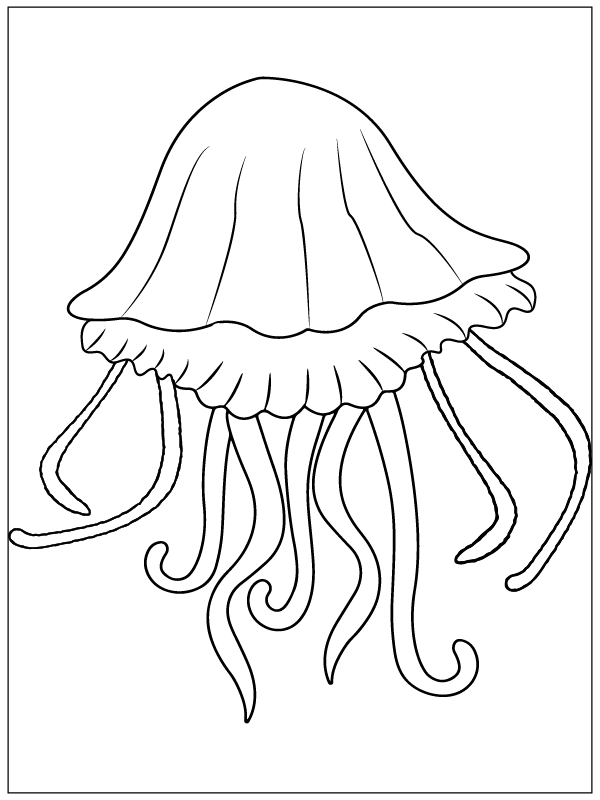 Jellyfish Spectacular