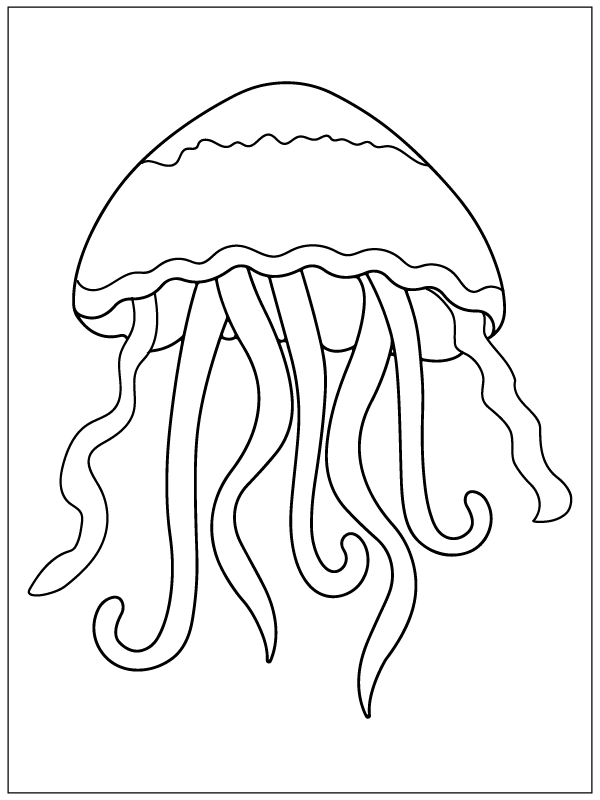 Jellyfish with Long Tentacles