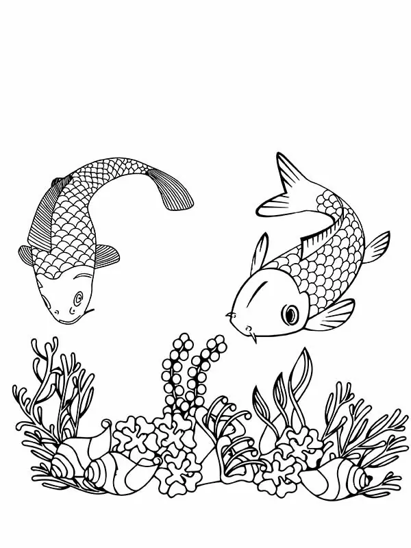 Koi Fishes and Corals