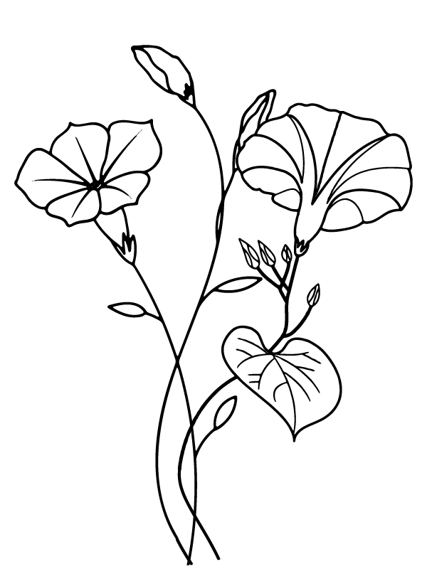 Morning Groly coloring page-01
