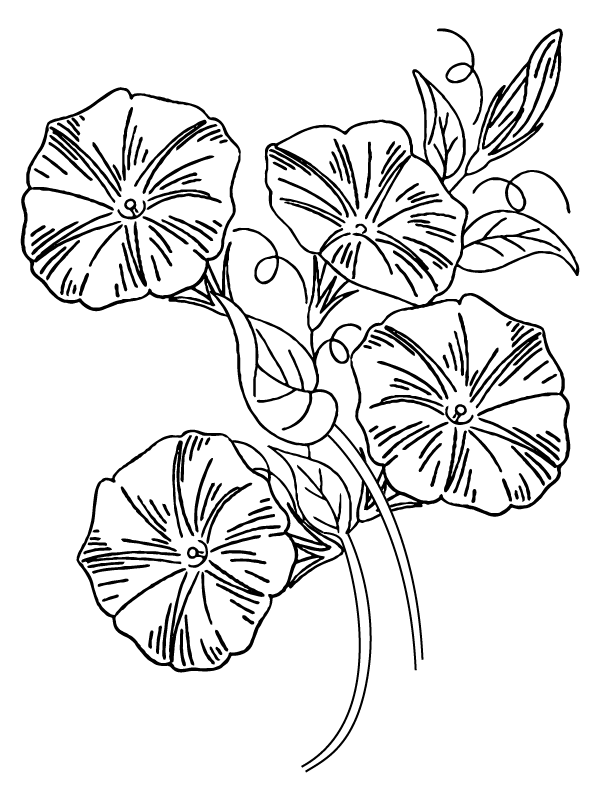 Morning Groly coloring page-12