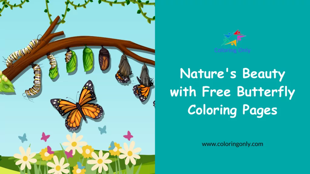 Nature’s Beauty with Free Butterfly Coloring Pages