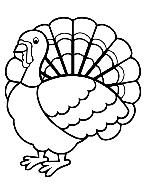 Old Thanksgiving Turkey