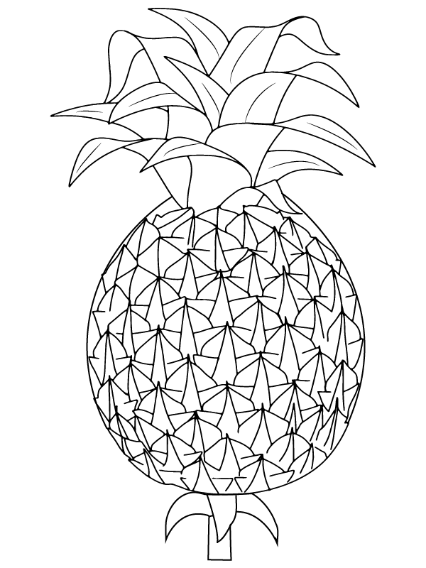 One-line Pineapple Drawing