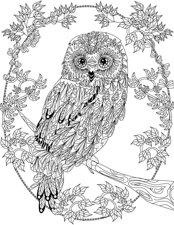 Owl Animal Mandala