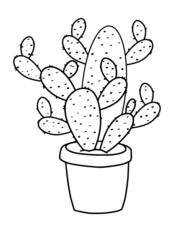 Perfect Cactus