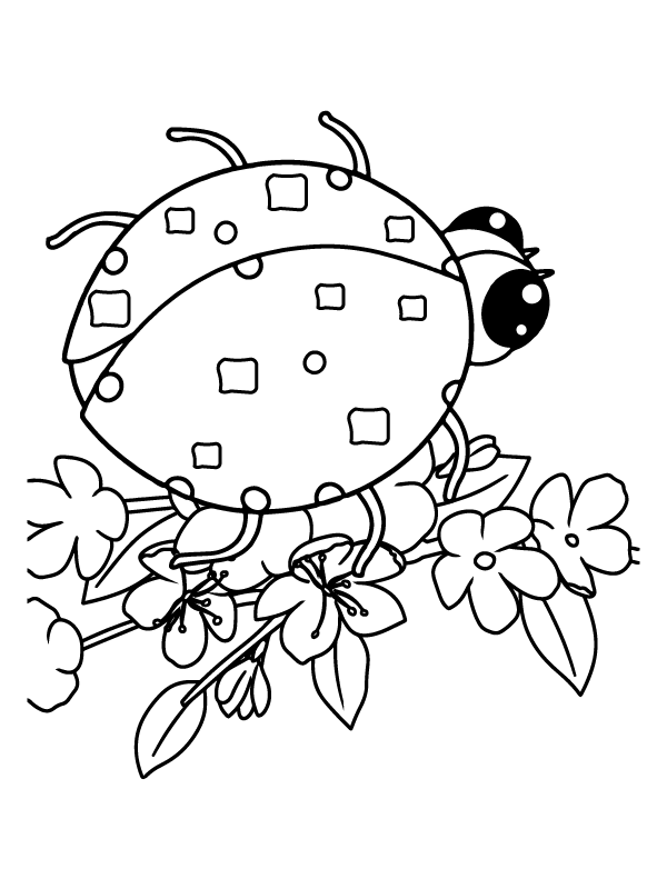 Perfect Ladybug Coloring Page