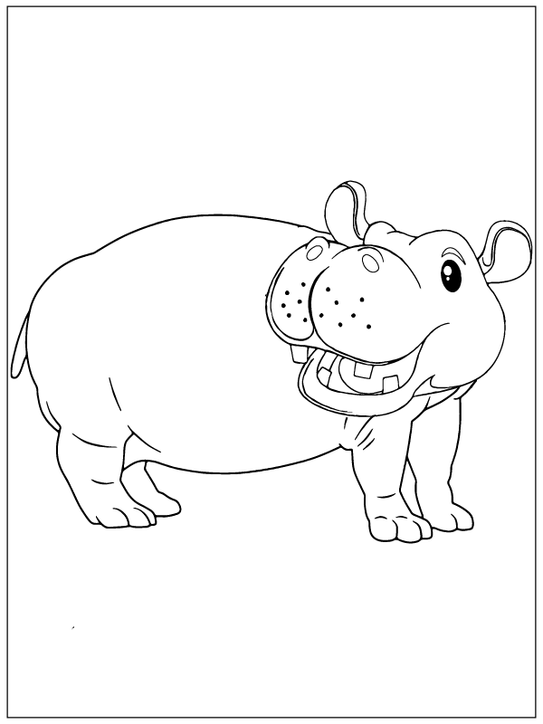 Playful Hippo