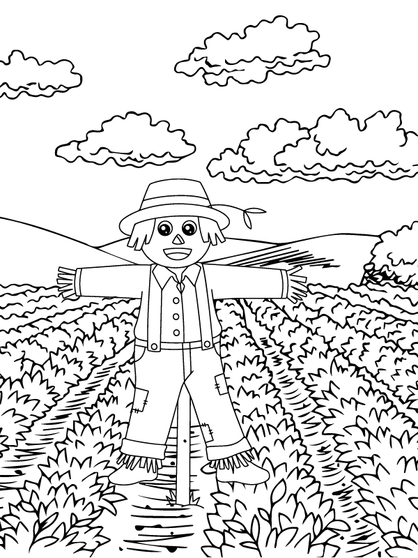 Scarecrow is standing in the Potato field