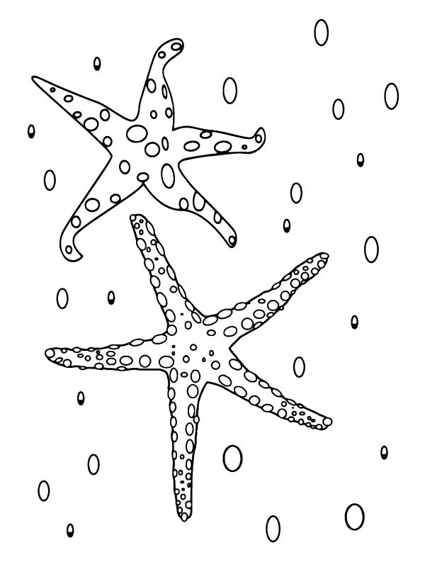 Seashore Starfish