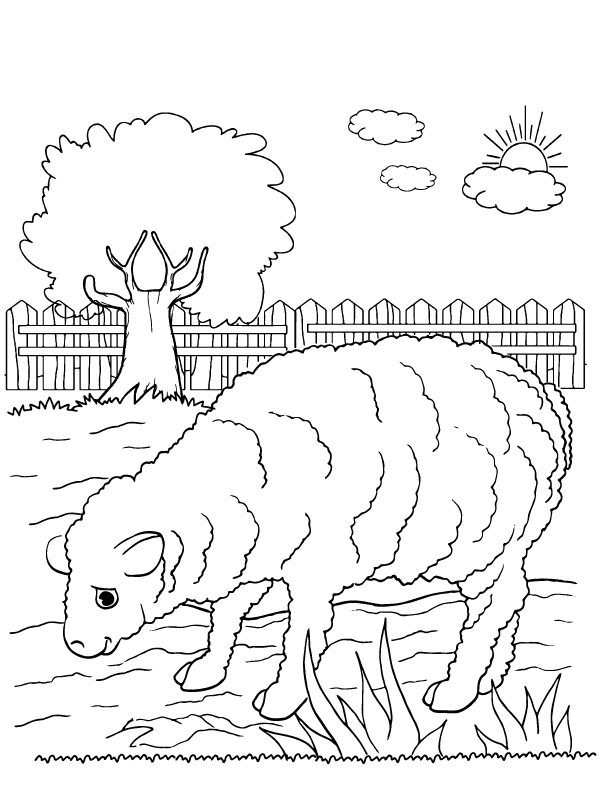 Sheep in the Yard Eating Grass