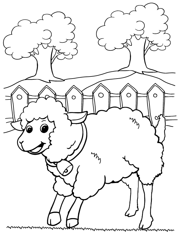 Schafe im Zaun