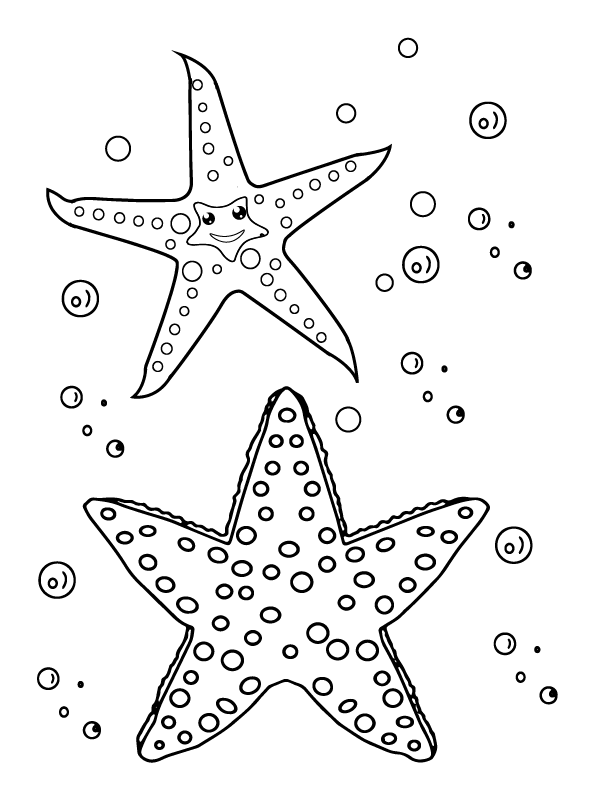 Shimmering Starfish