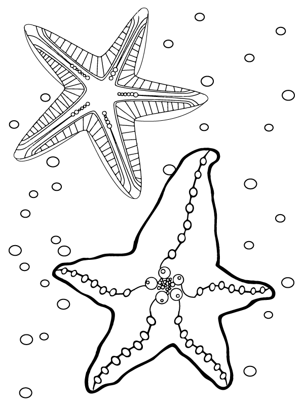 Starfish Kingdom