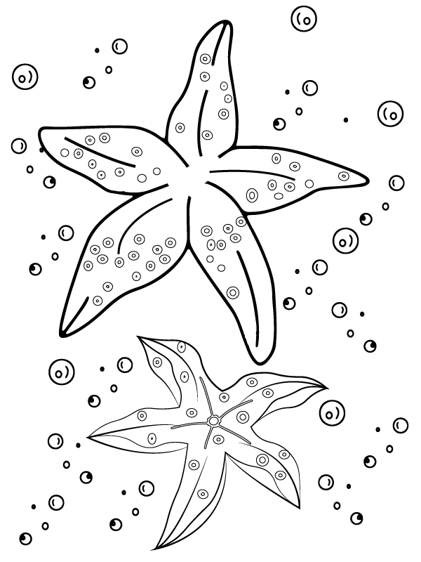 Starry-Eyed Starfish
