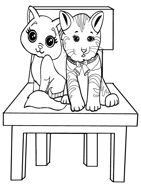 Twin Cute Cats on Table