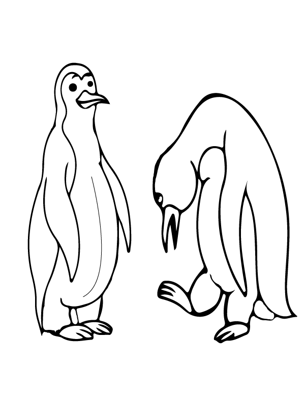 Two Penguins Arctic Animals