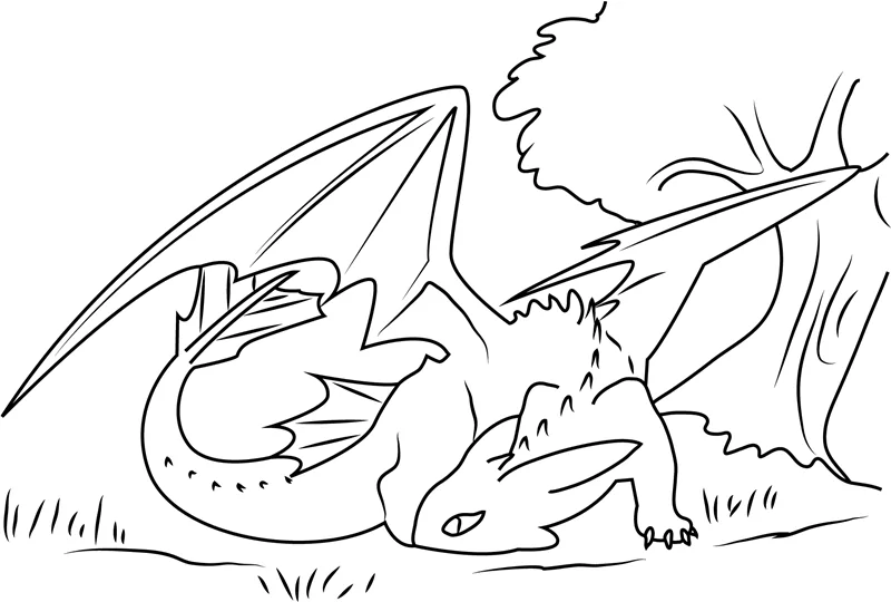 Toothless In Jungle Coloring Page - Free Printable Coloring Pages for Kids