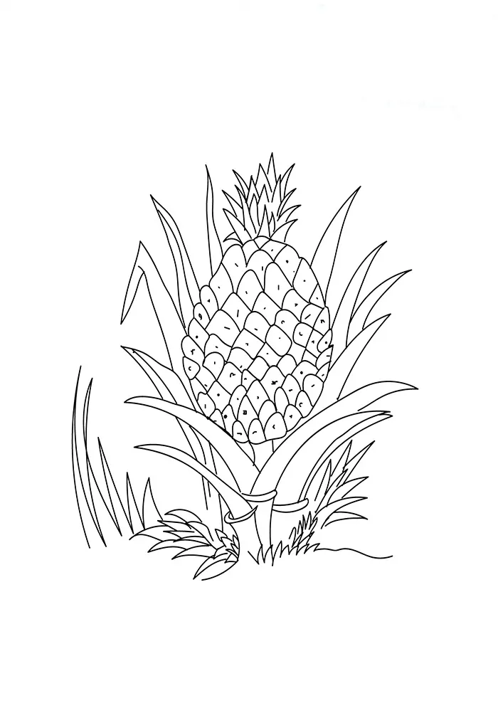 Wild Pineapple Coloring Page - Free Printable Coloring Pages for Kids