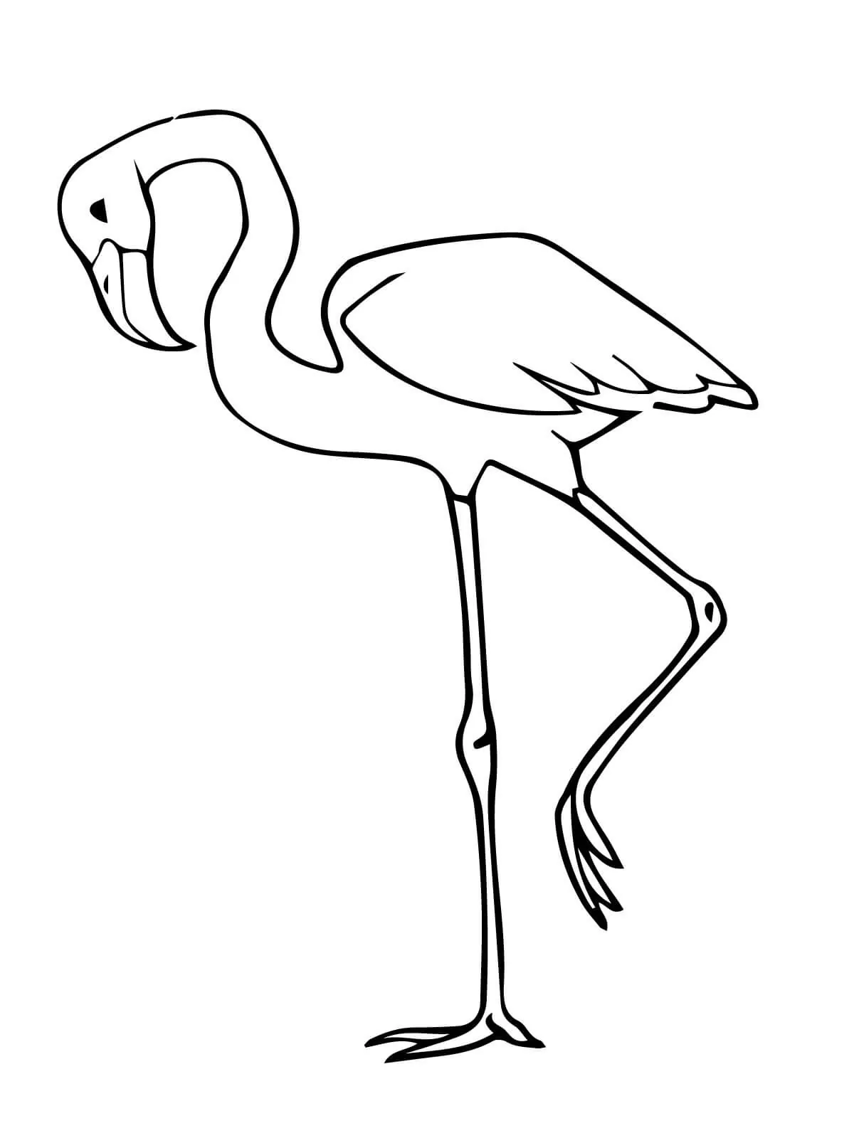 Flamingo Coloring Page