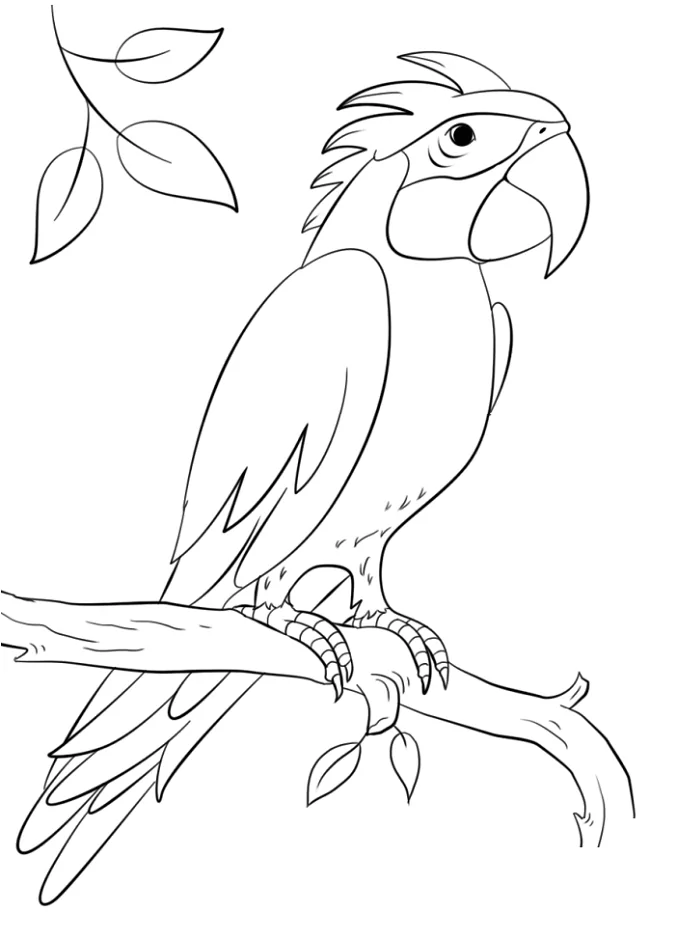 Sisserou Parrot On Branch