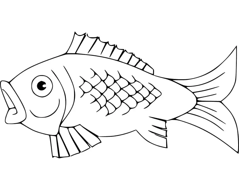 A Carp Fish