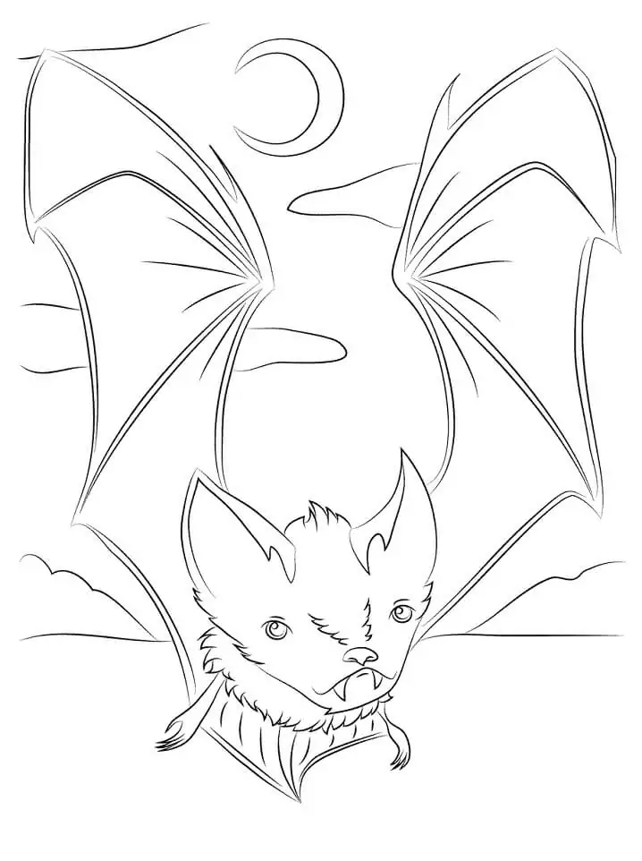 A Cute Bat
