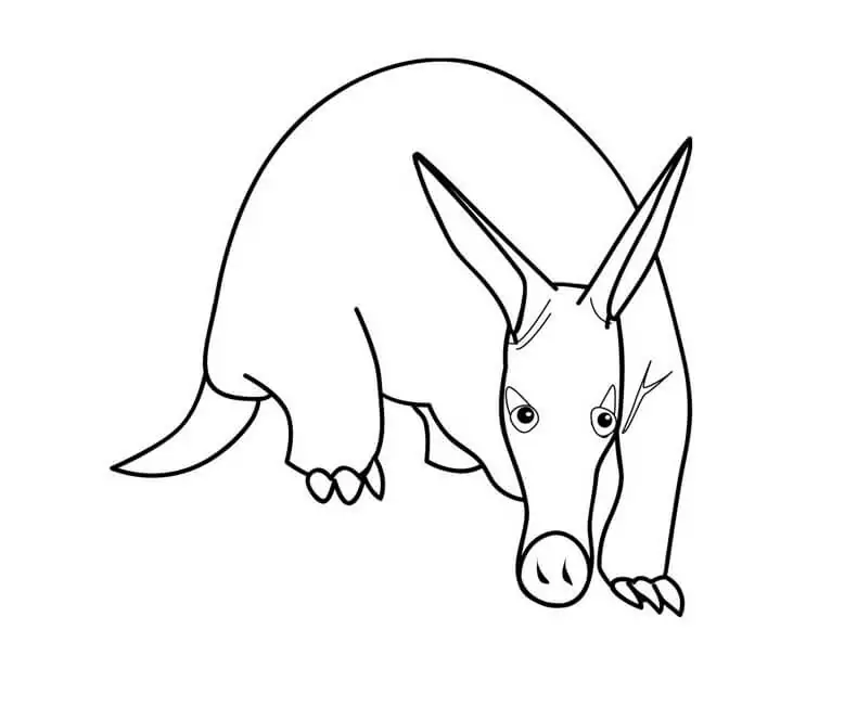 A Funny Aardvark
