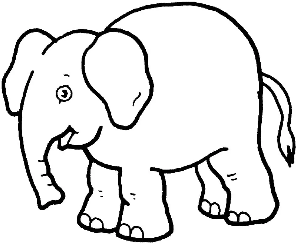A Funny Elephant