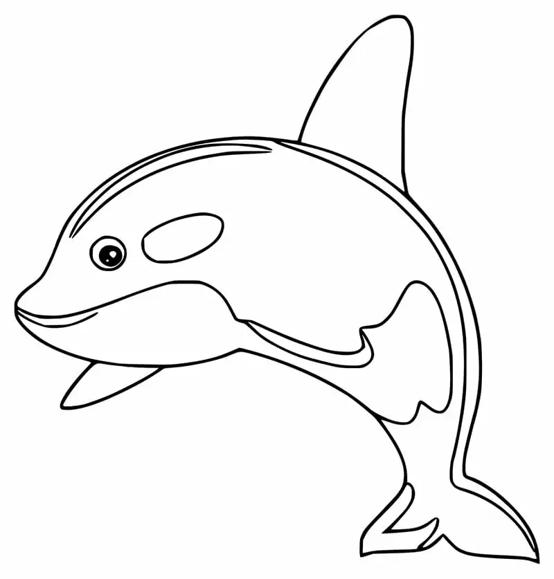 A Killer Whale - Coloring Pages