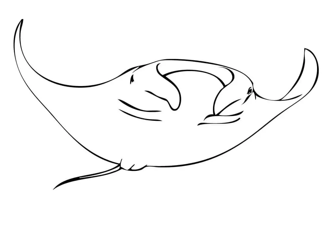 reef-manta-ray-coloring-page-free-printable-coloring-pages-for-kids