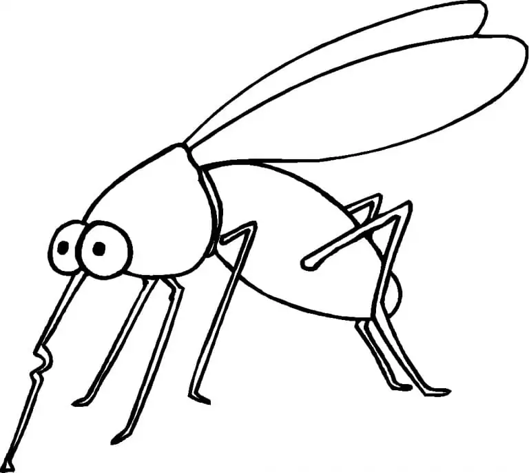A Normal Mosquito