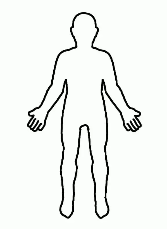 A Person Outline