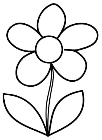 A Simple Flower