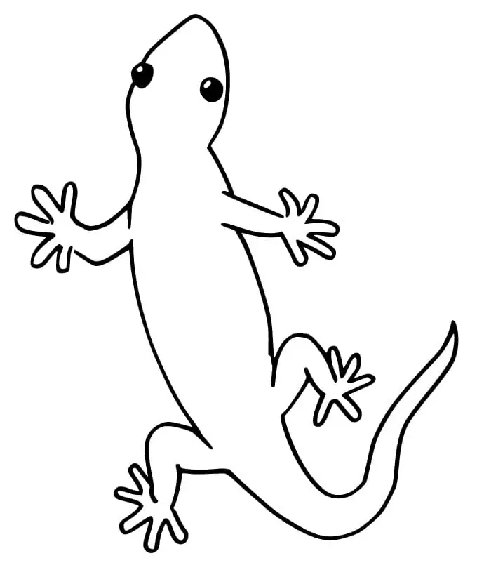 A Simple Gecko