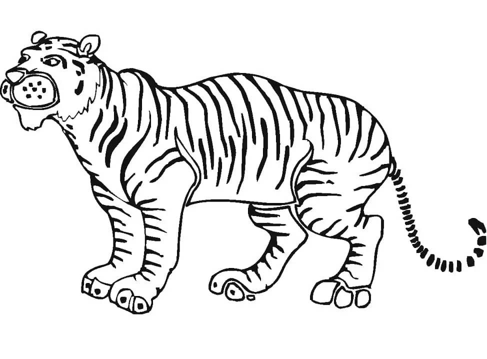 Tiger Portrait Coloring Page - Free Printable Coloring Pages for Kids