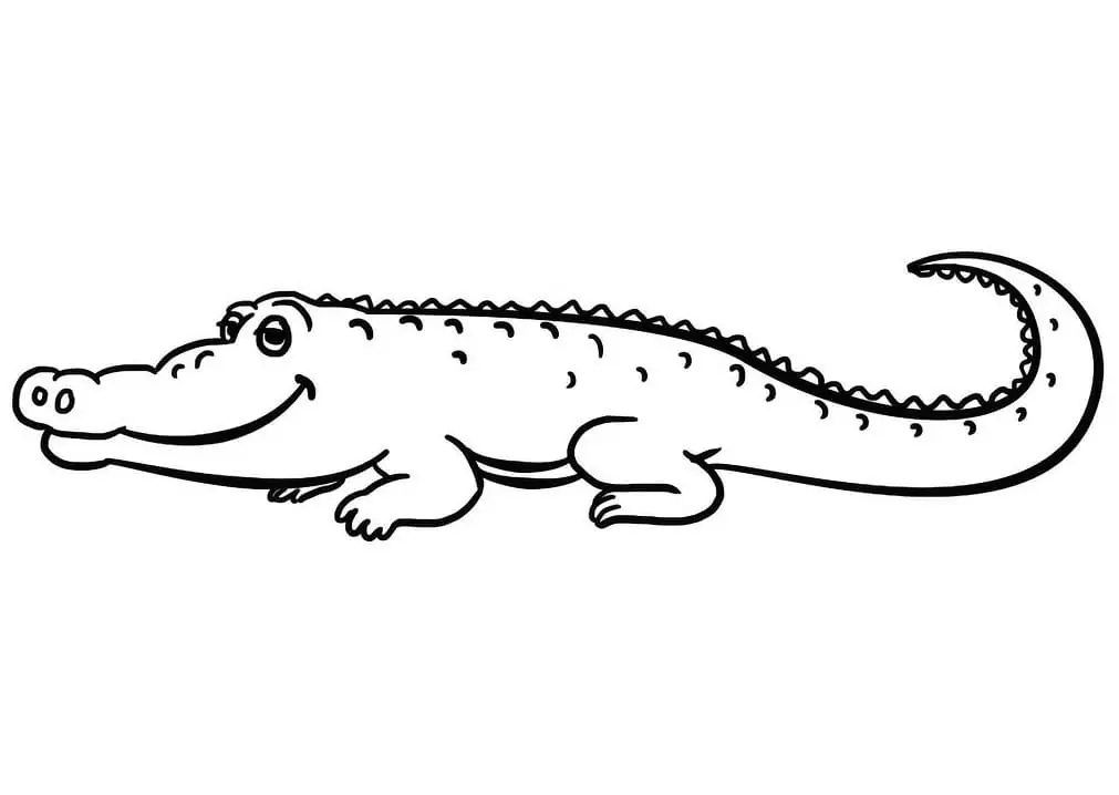 Adorable Alligator
