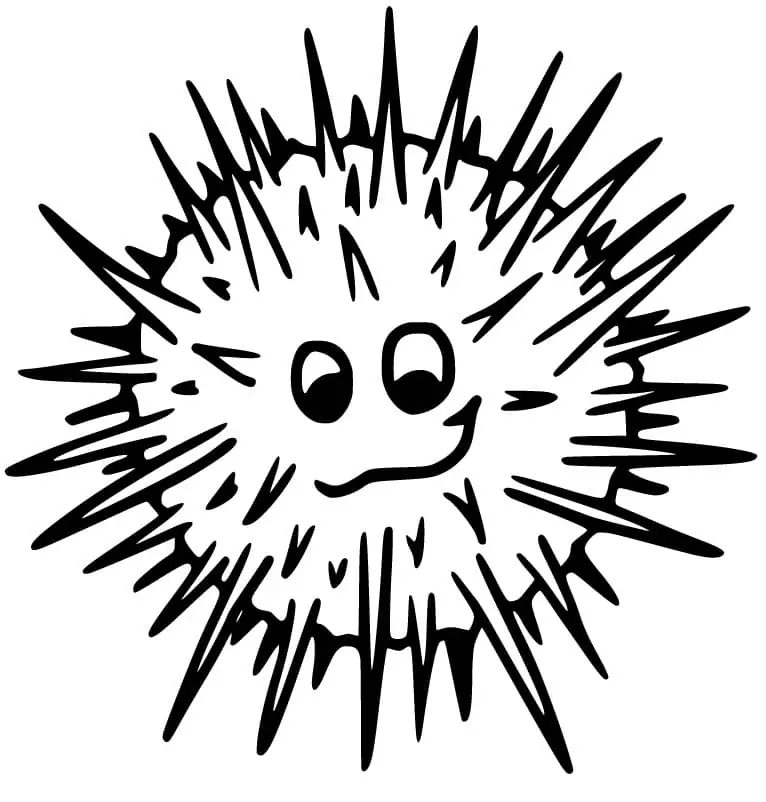 Adorable Sea Urchin