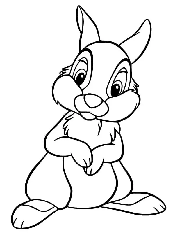 Adorable Thumper