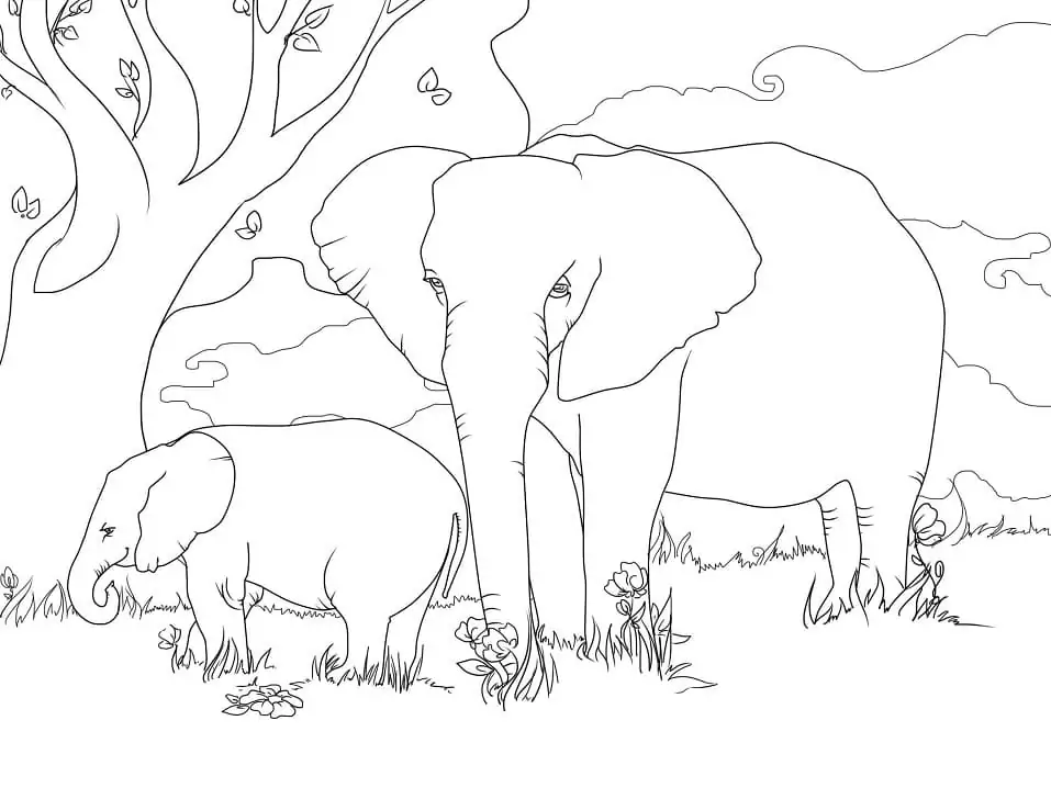 Afrikanische Buschelefanten