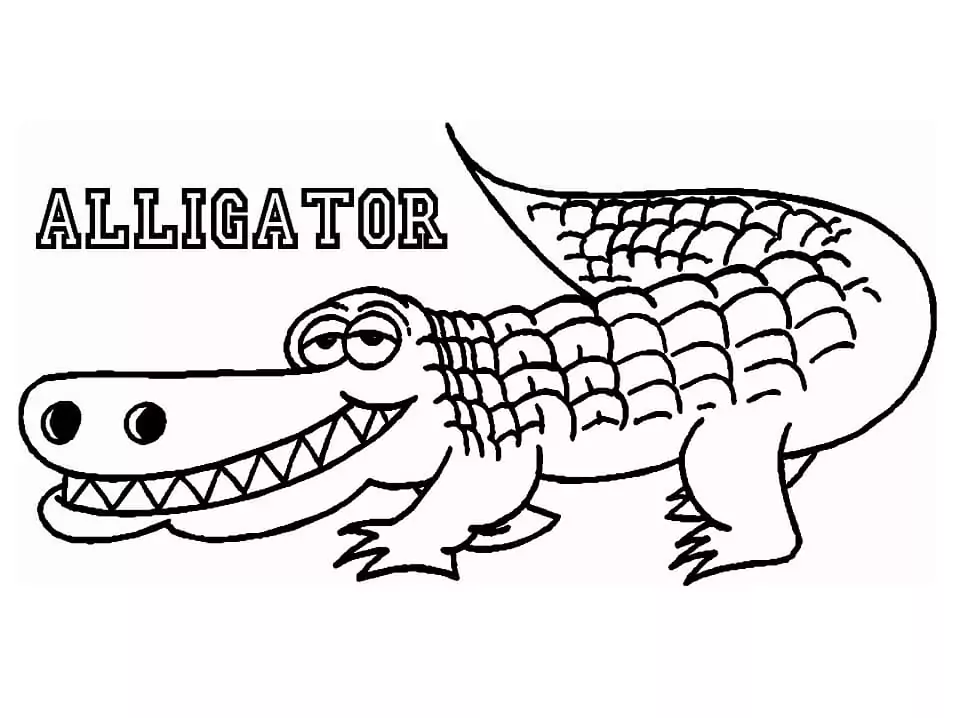 Alligator 2