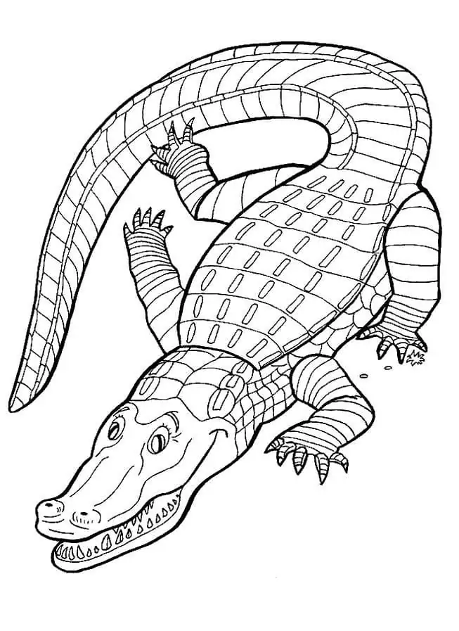 Alligator frei druckbar