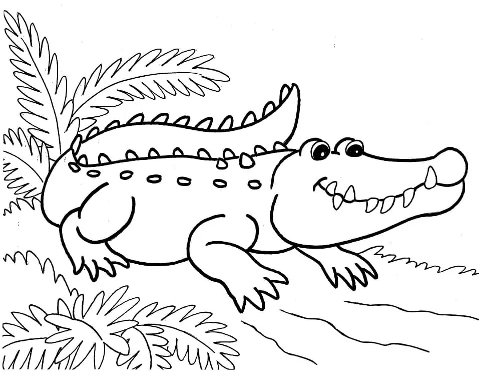 Alligator lächelnd